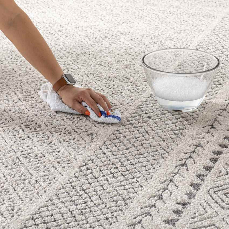 Julian Global Charcoal/Light Beige Area Rug