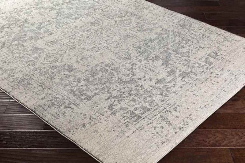 Amelia Traditional Charcoal/Light Gray/Beige Area Rug