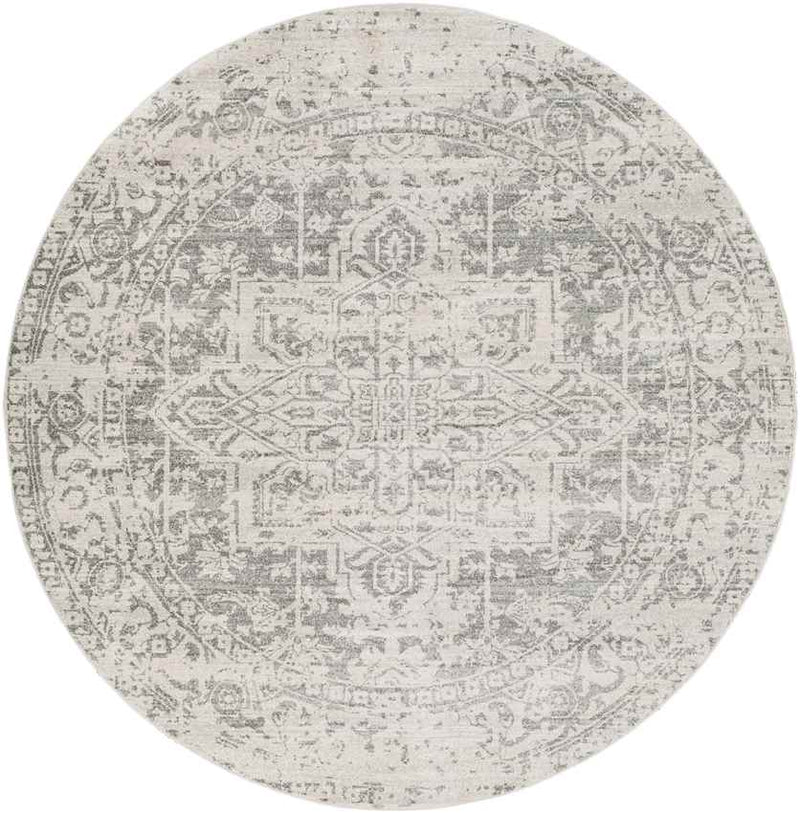 Amelia Traditional Charcoal/Light Gray/Beige Area Rug