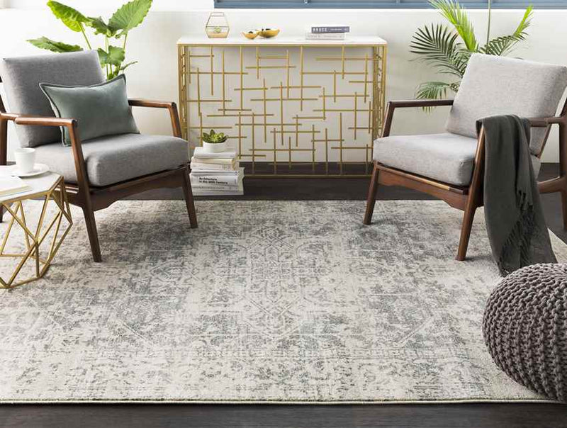 Amelia Traditional Charcoal/Light Gray/Beige Area Rug