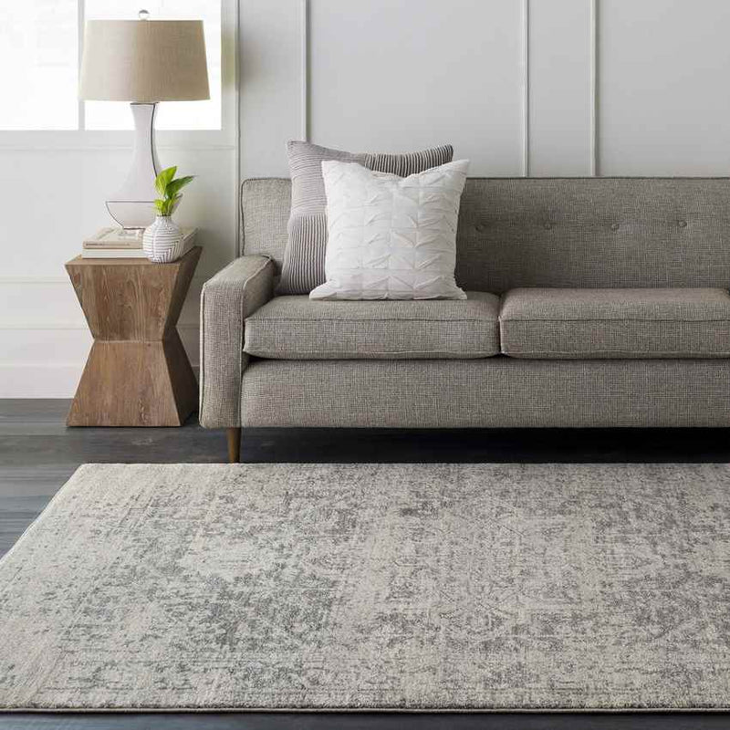 Amelia Traditional Charcoal/Light Gray/Beige Area Rug