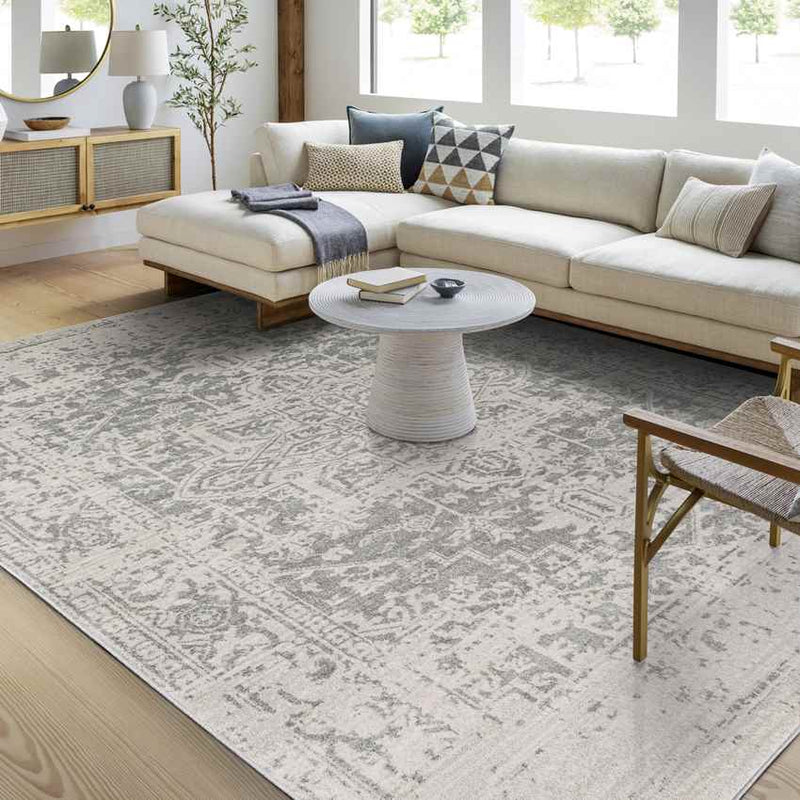 Amelia Traditional Charcoal/Light Gray/Beige Area Rug