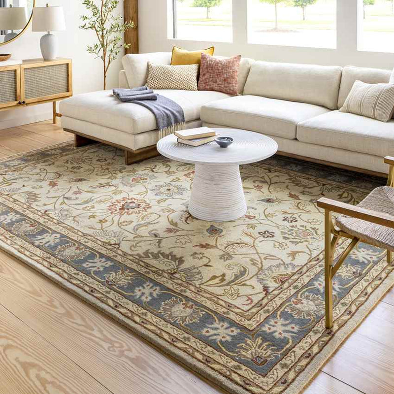 Paris Traditional Tan Area Rug