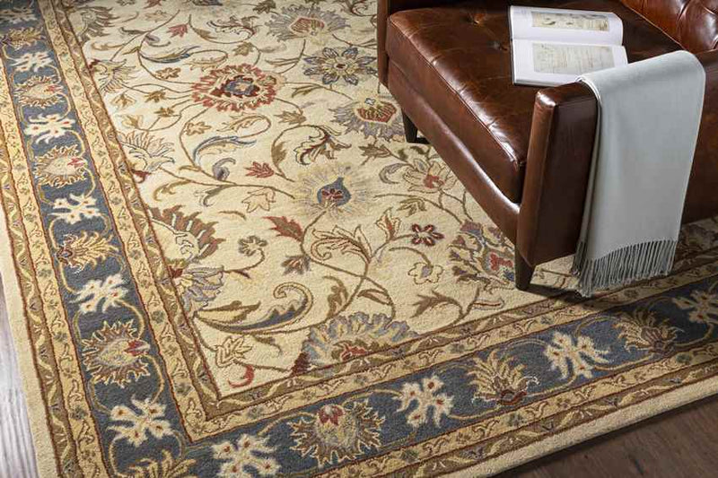 Paris Traditional Tan Area Rug