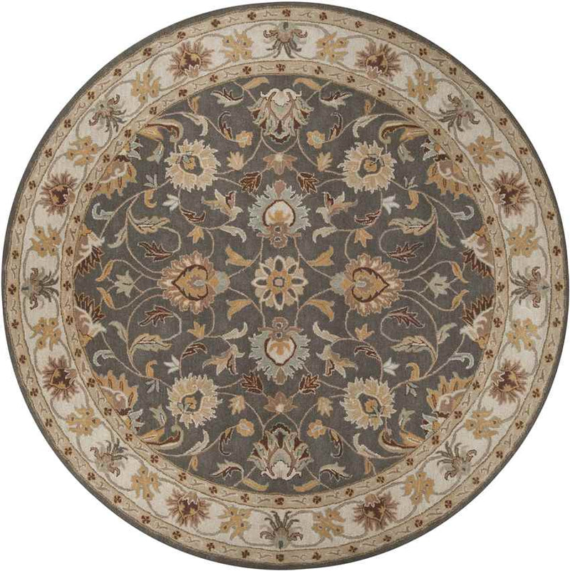 Paris Traditional Khaki Area Rug