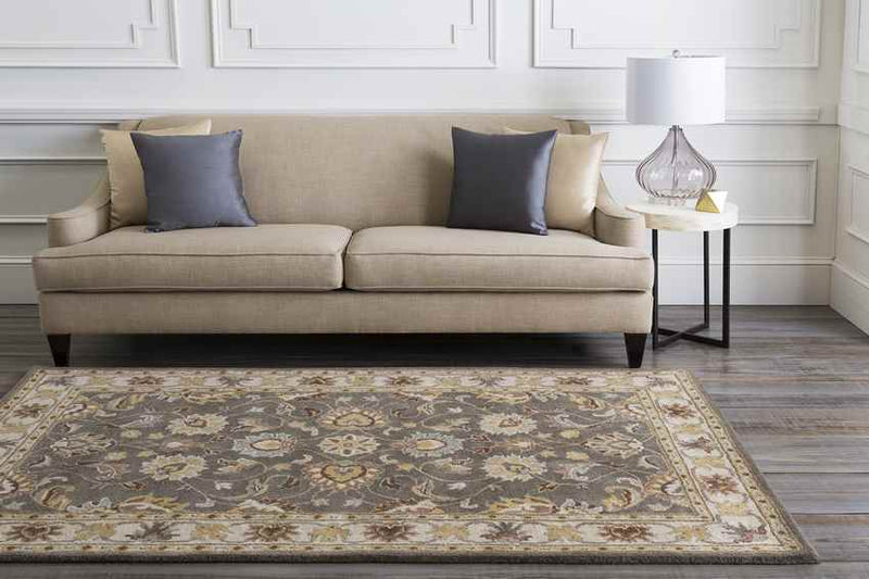 Paris Traditional Khaki Area Rug