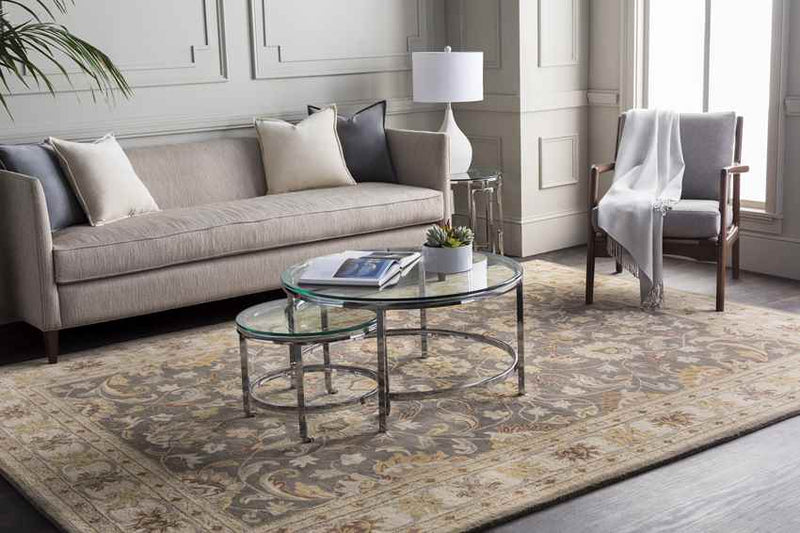 Paris Traditional Khaki Area Rug