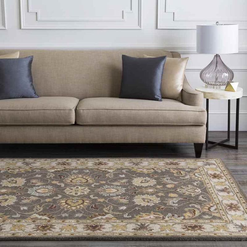 Paris Traditional Khaki Area Rug