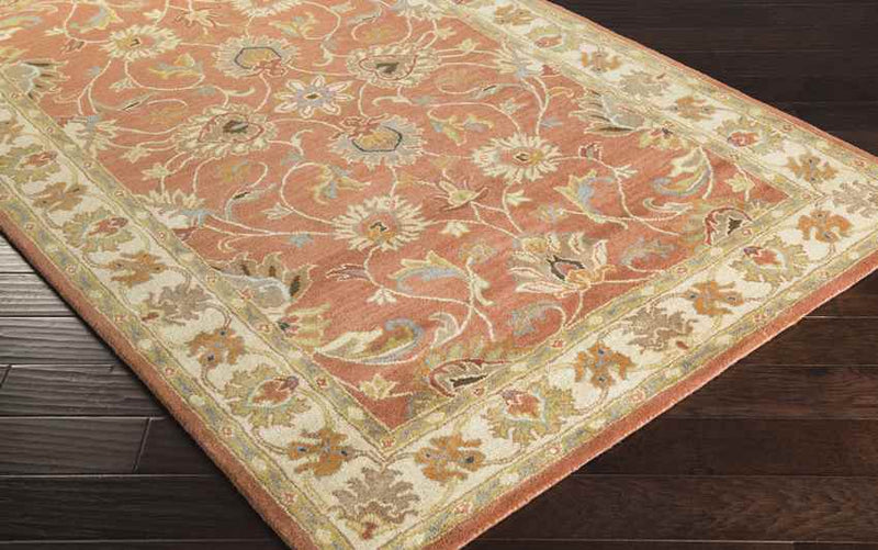 Paris Traditional Burnt Orange Area Rug