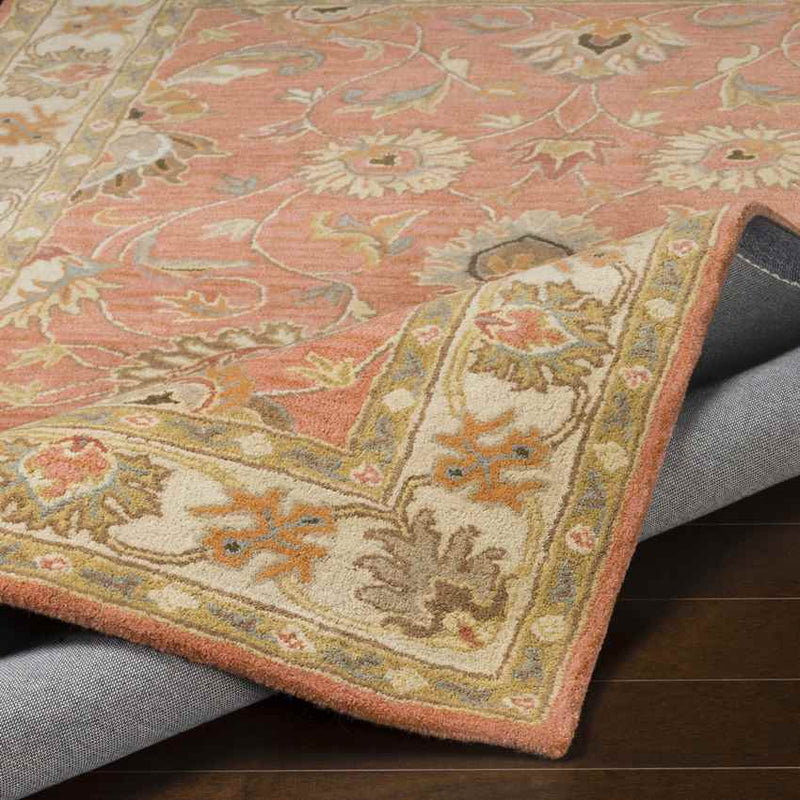 Paris Traditional Burnt Orange Area Rug