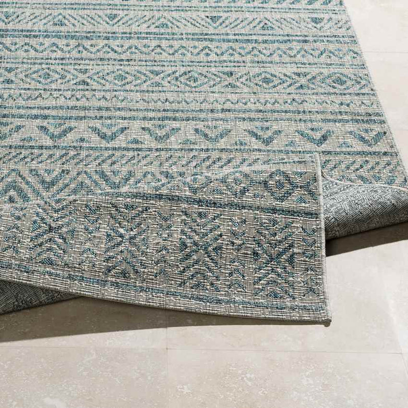 Elodie Global Aqua Area Rug