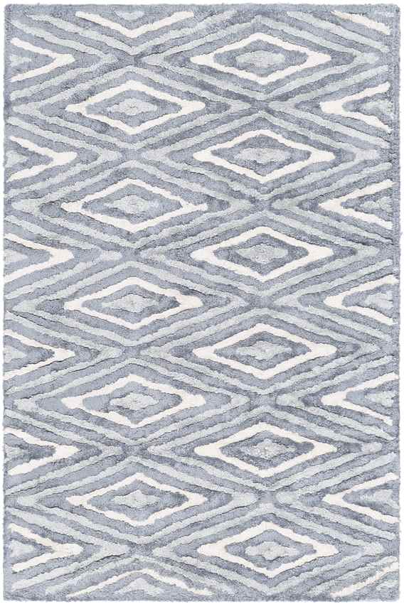 Merignac Modern Light Gray Area Rug