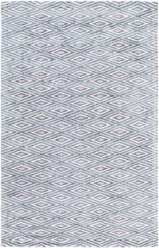 Merignac Modern Light Gray Area Rug