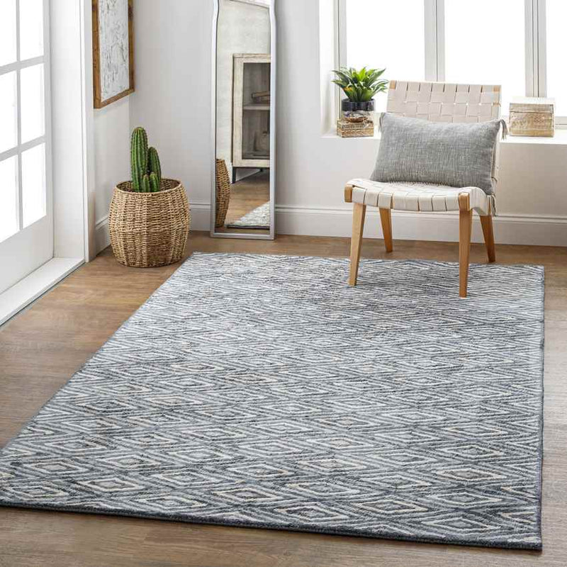 Merignac Modern Light Gray Area Rug