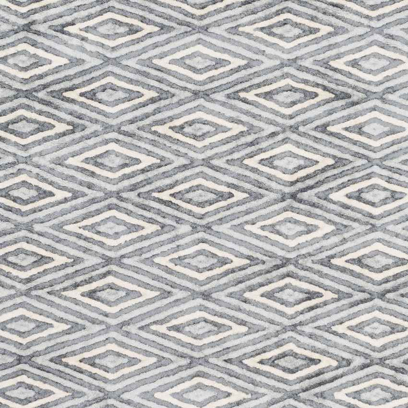 Merignac Modern Light Gray Area Rug