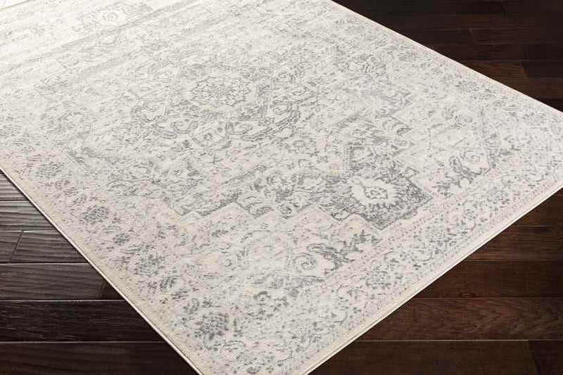 Troyes Traditional Medium Gray Area Rug