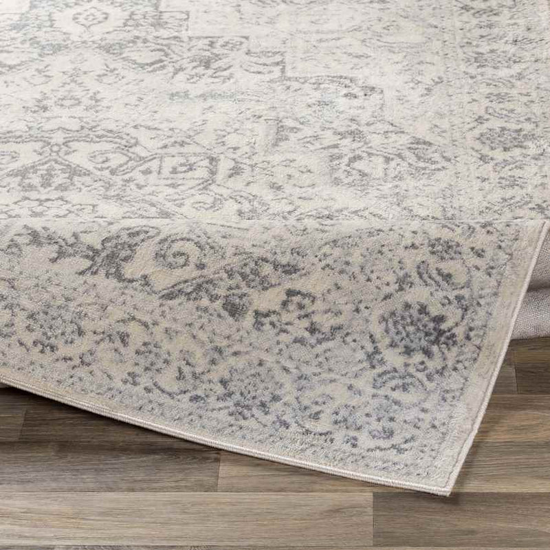 Troyes Traditional Medium Gray Area Rug