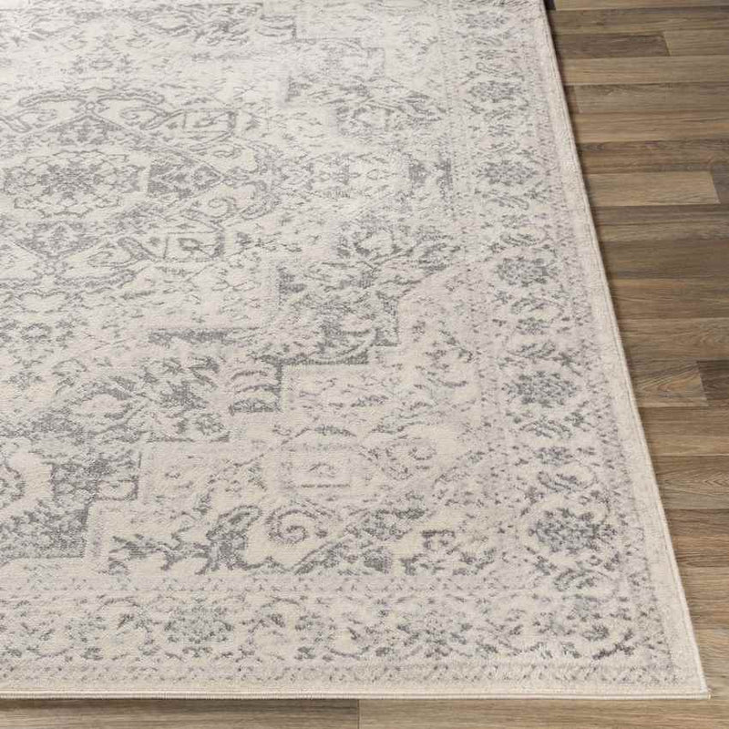 Troyes Traditional Medium Gray Area Rug