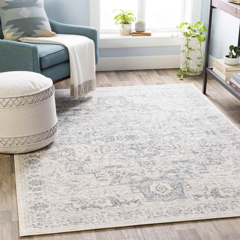 Troyes Traditional Medium Gray Area Rug