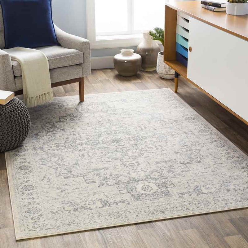 Troyes Traditional Medium Gray Area Rug