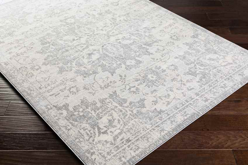 Clichy Traditional Medium Gray Area Rug