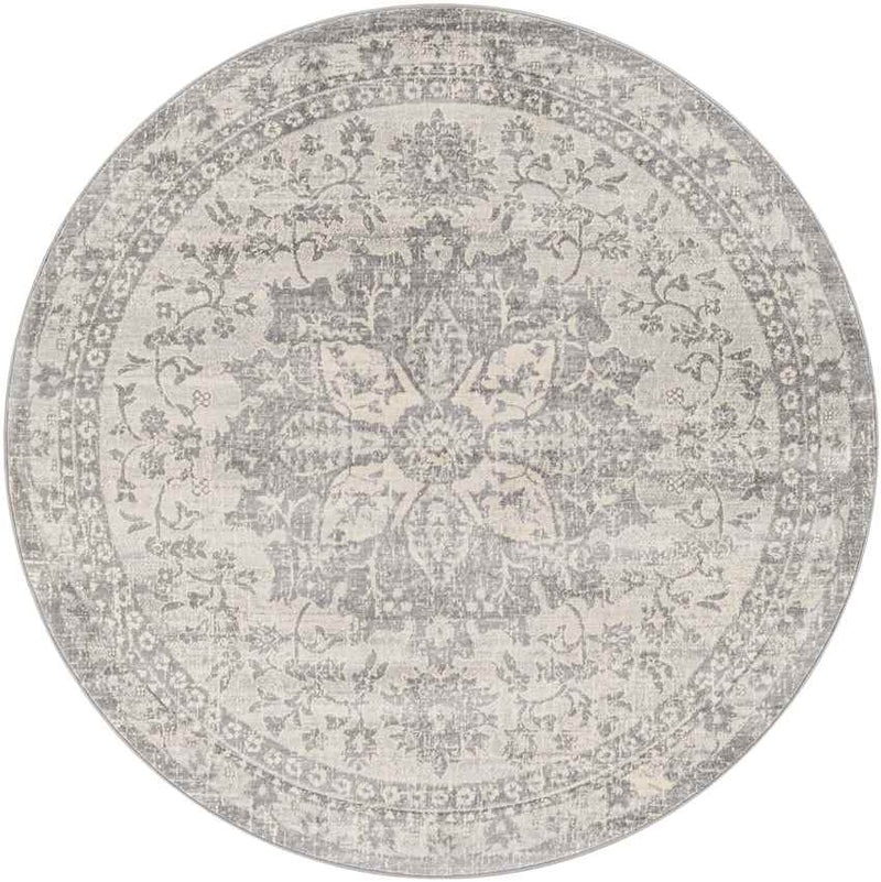 Clichy Traditional Medium Gray Area Rug