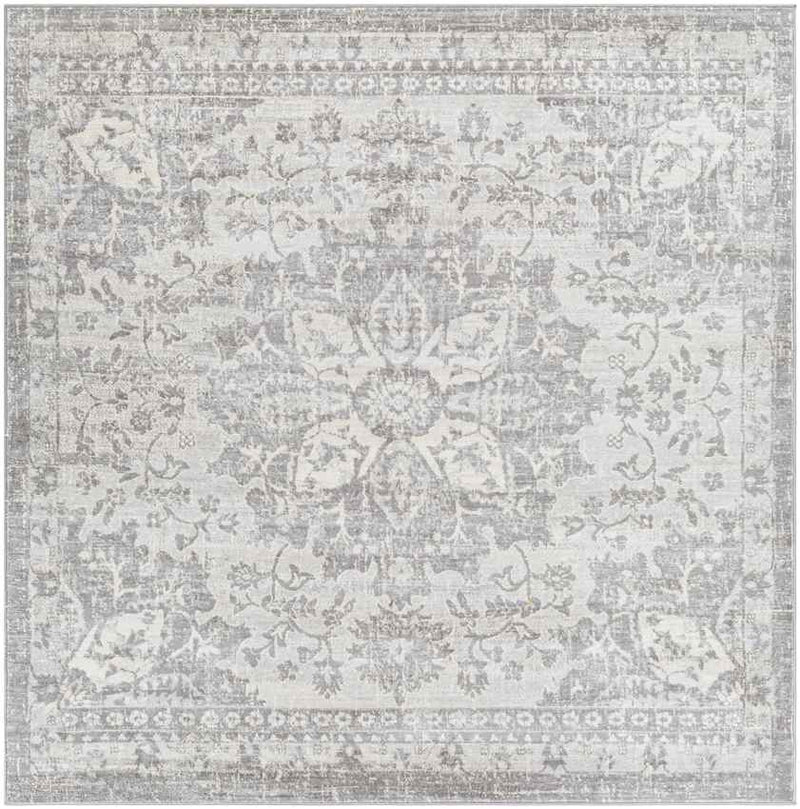 Clichy Traditional Medium Gray Area Rug