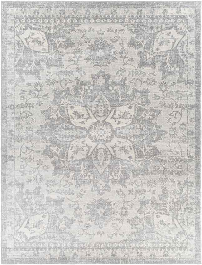 Clichy Traditional Medium Gray Area Rug