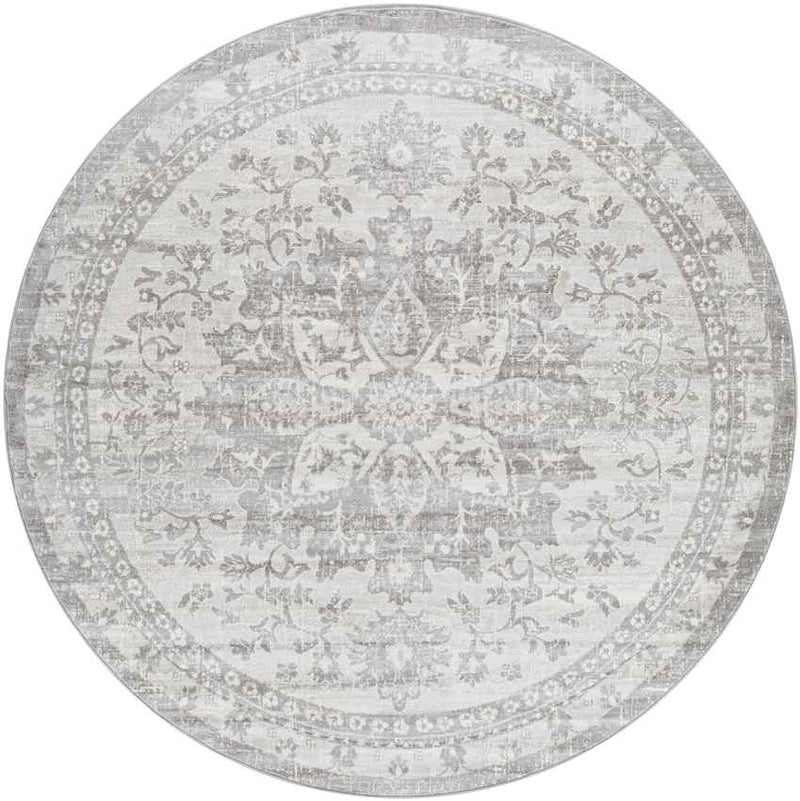 Clichy Traditional Medium Gray Area Rug