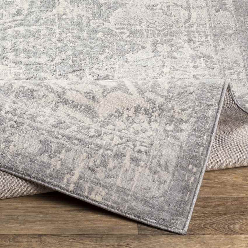 Clichy Traditional Medium Gray Area Rug