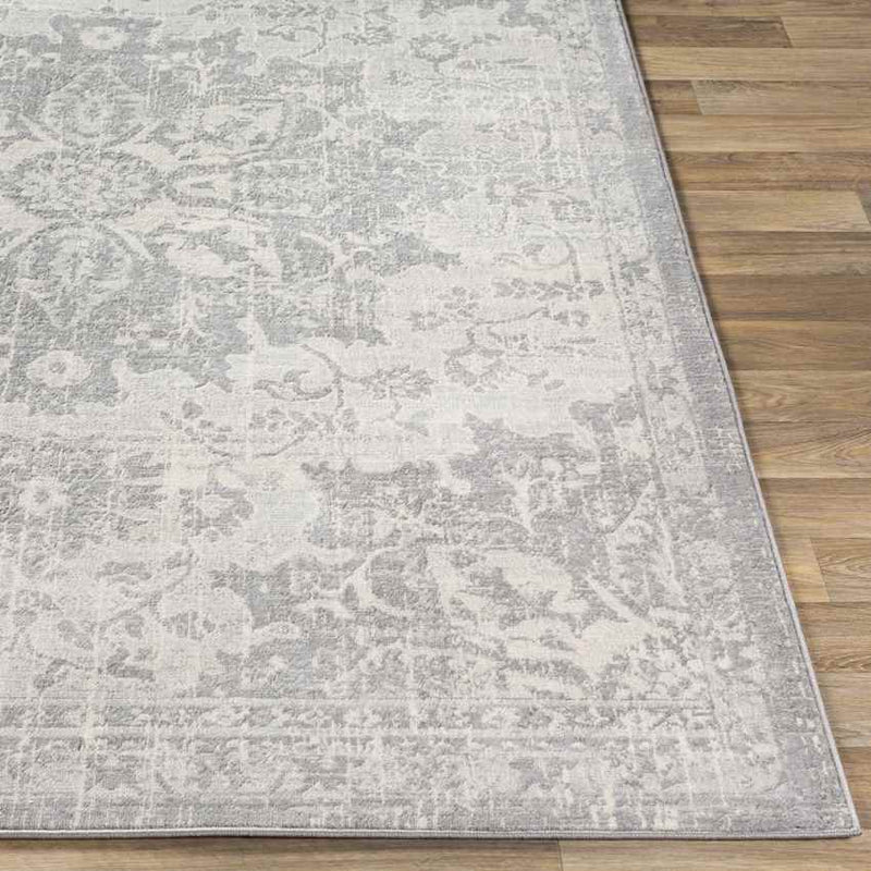 Clichy Traditional Medium Gray Area Rug