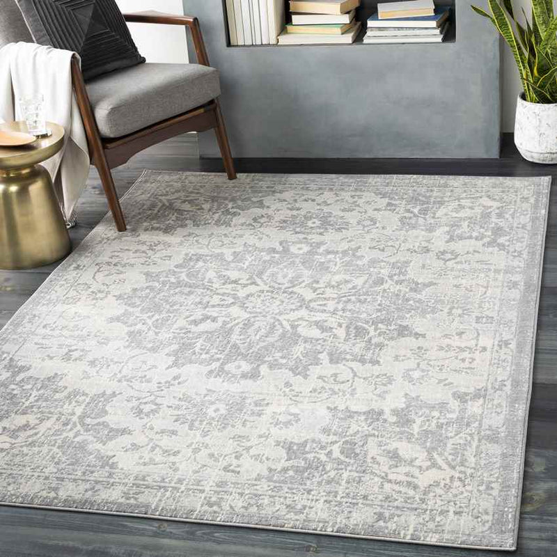 Clichy Traditional Medium Gray Area Rug