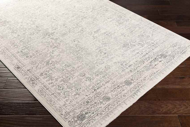 Hyeres Traditional Gray Area Rug