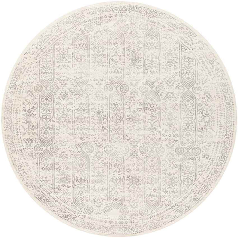 Hyeres Traditional Gray Area Rug