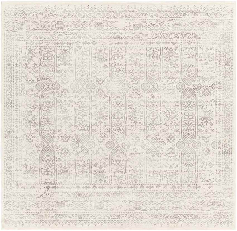 Hyeres Traditional Gray Area Rug