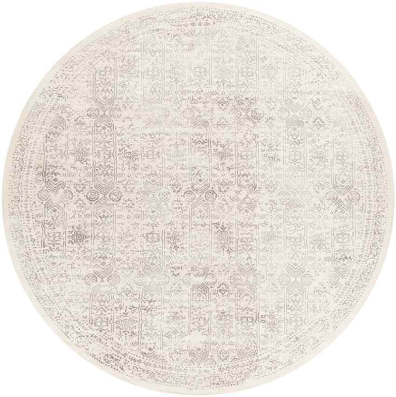 Hyeres Traditional Gray Area Rug