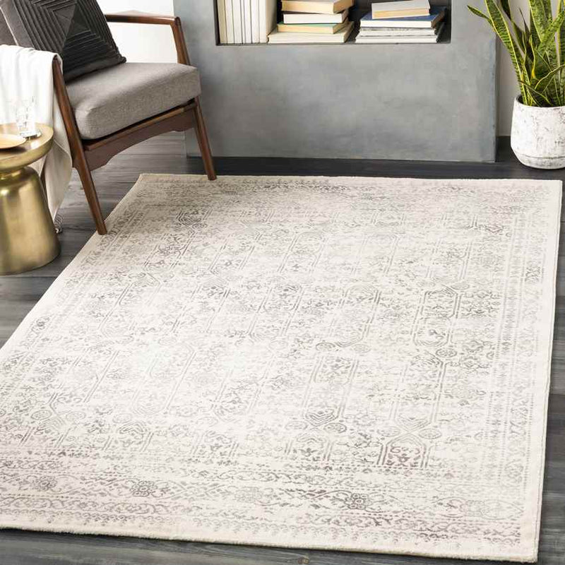 Hyeres Traditional Gray Area Rug