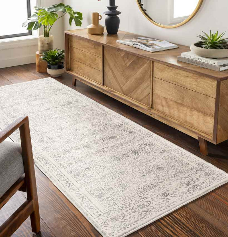 Hyeres Traditional Gray Area Rug