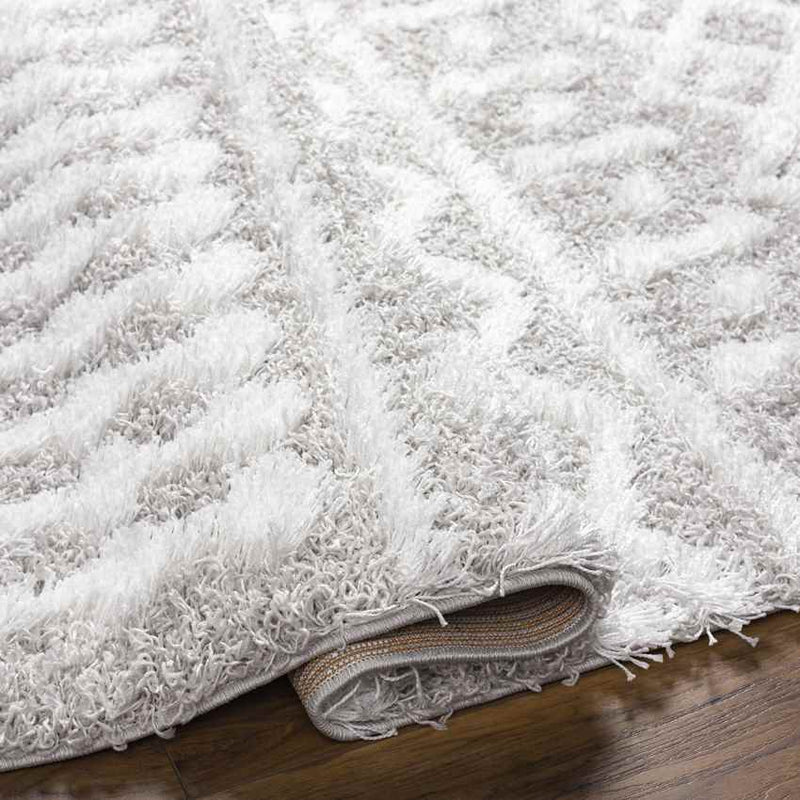 Carter Global Light Gray Area Rug