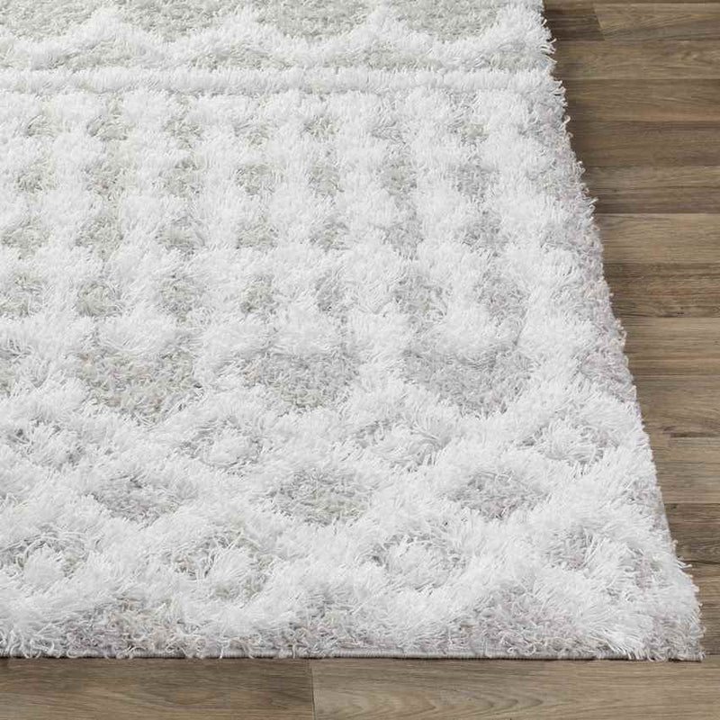 Carter Global Light Gray Area Rug