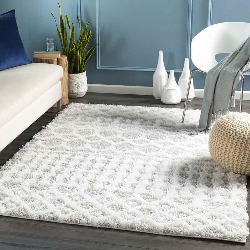 Carter Global Light Gray Area Rug