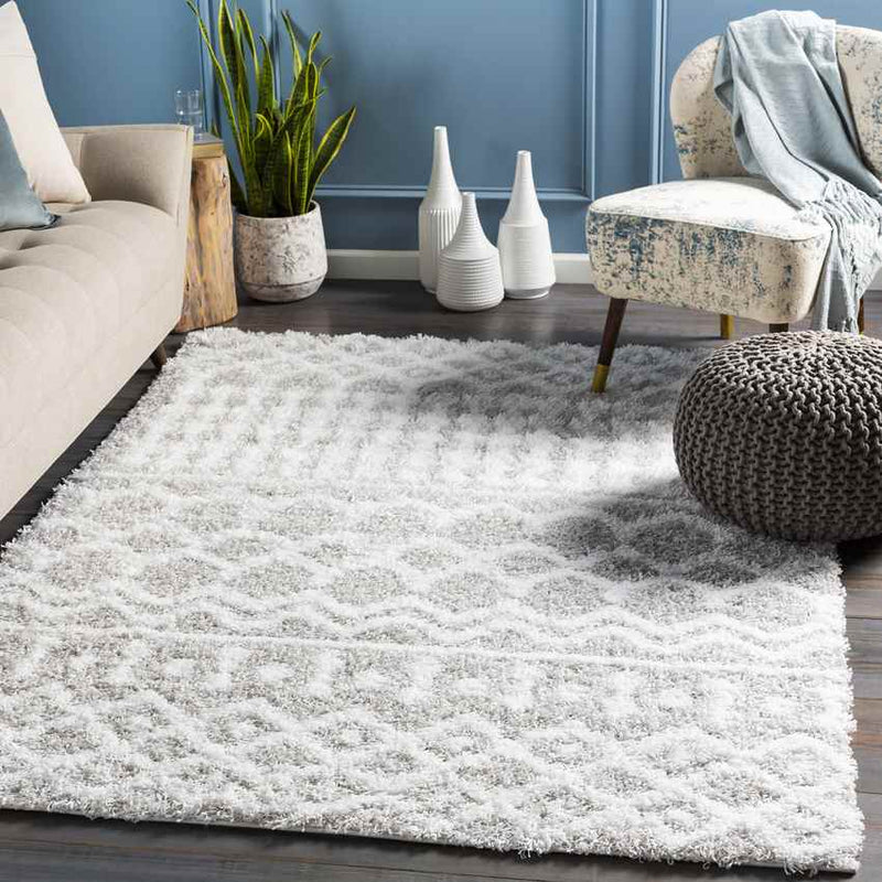 Carter Global Light Gray Area Rug