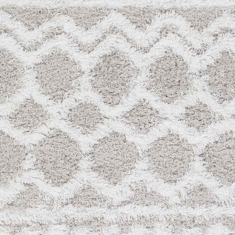 Carter Global Light Gray Area Rug