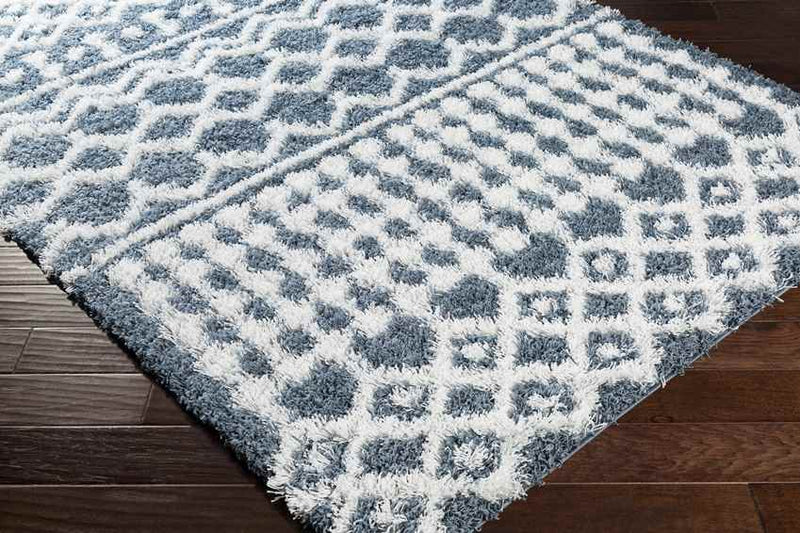 Carter Global Denim Area Rug