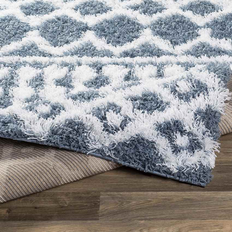 Carter Global Denim Area Rug