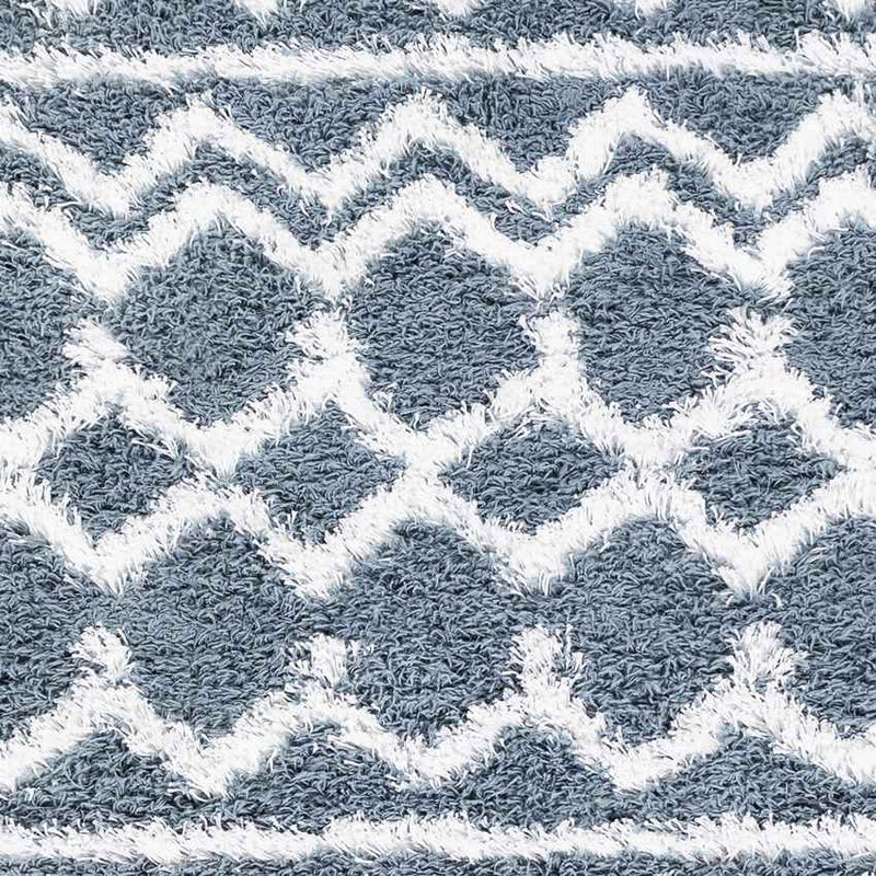 Carter Global Denim Area Rug