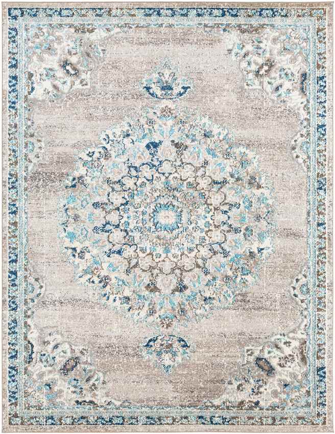 Puteaux Traditional Light Gray Area Rug