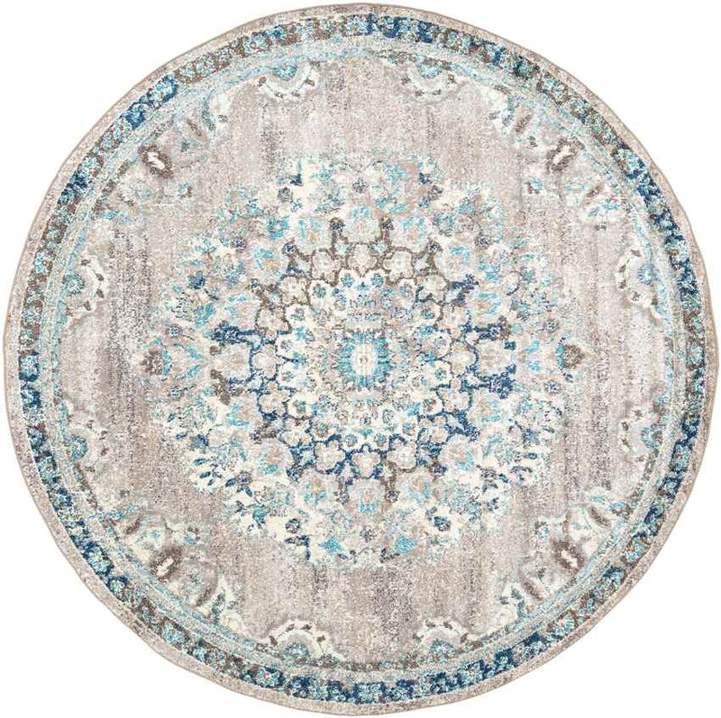 Puteaux Traditional Light Gray Area Rug