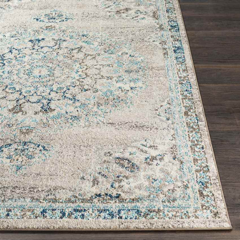 Puteaux Traditional Light Gray Area Rug