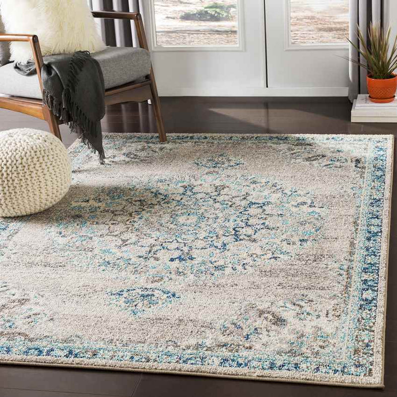 Puteaux Traditional Light Gray Area Rug